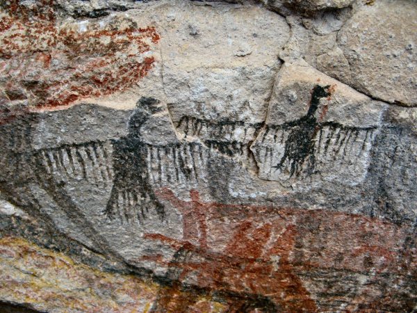 Cueva Pintada (Baja California) Pittura di condor. Questi dipinti ricorrono nell'arte muraria Meso-Americana e sono il risultato dell'esperienze sciamaniche e di benefici concreti. Il volo degli uccelli è un segnale importante che indica le prede e le pozze d'acqua durante le migrazioni