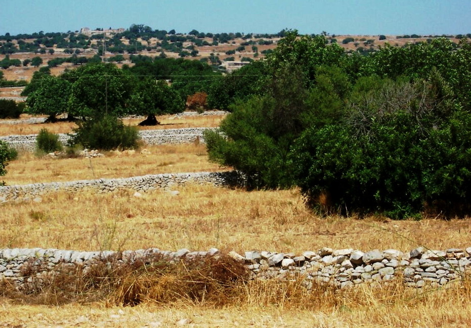 Spagna - Muri a secco chiamati ''tanka''