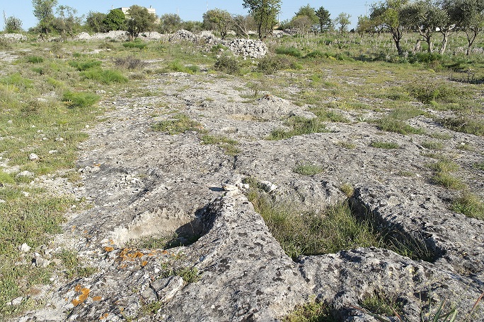 Villaggio neolitico di Murgecchia