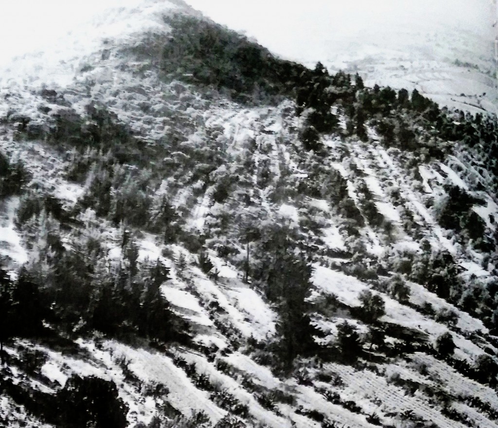 La collina di Tetzcotzingo