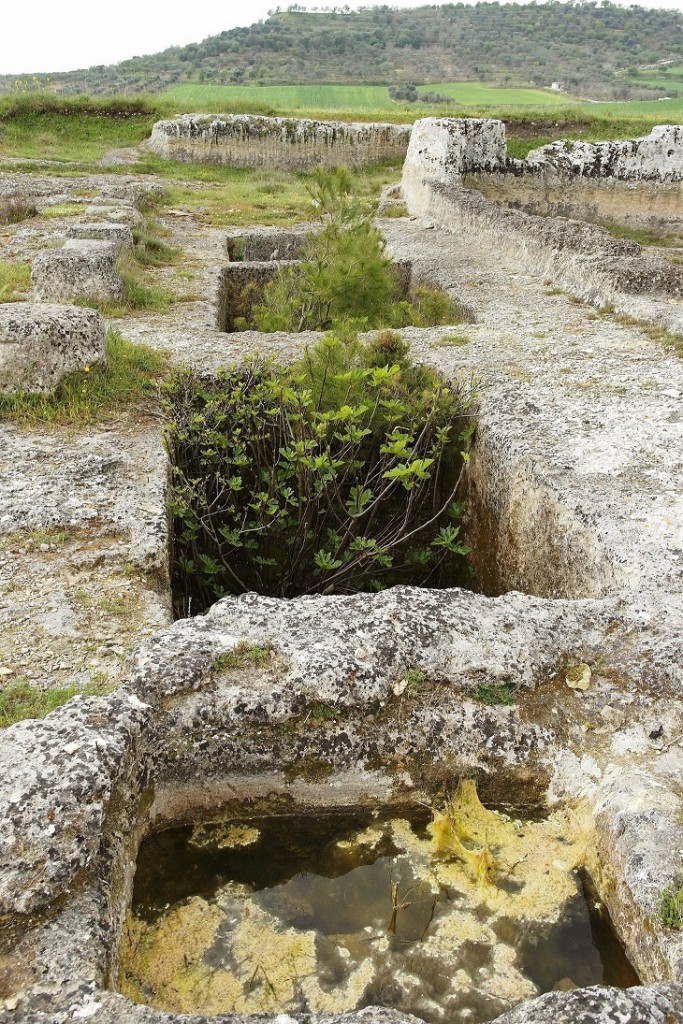 Cisterne connesse a Gravina di Puglia