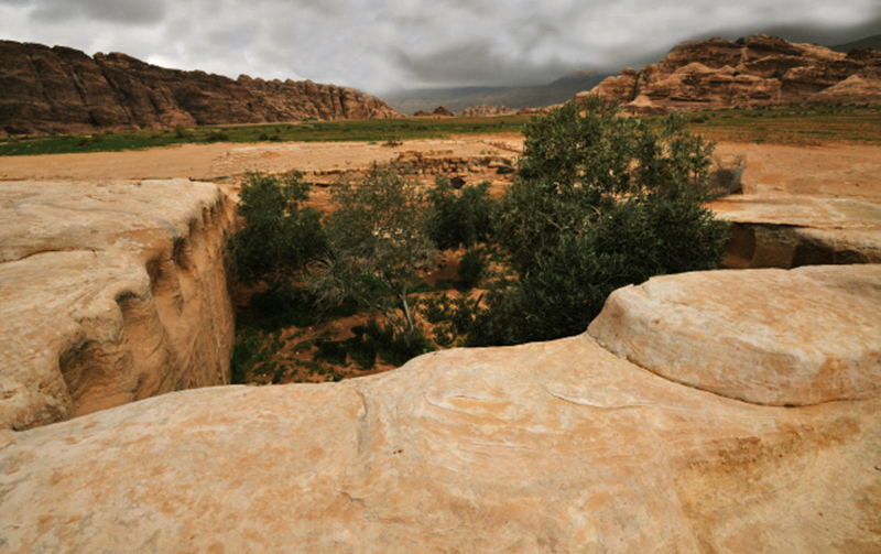 Giardino di pietra a Petra