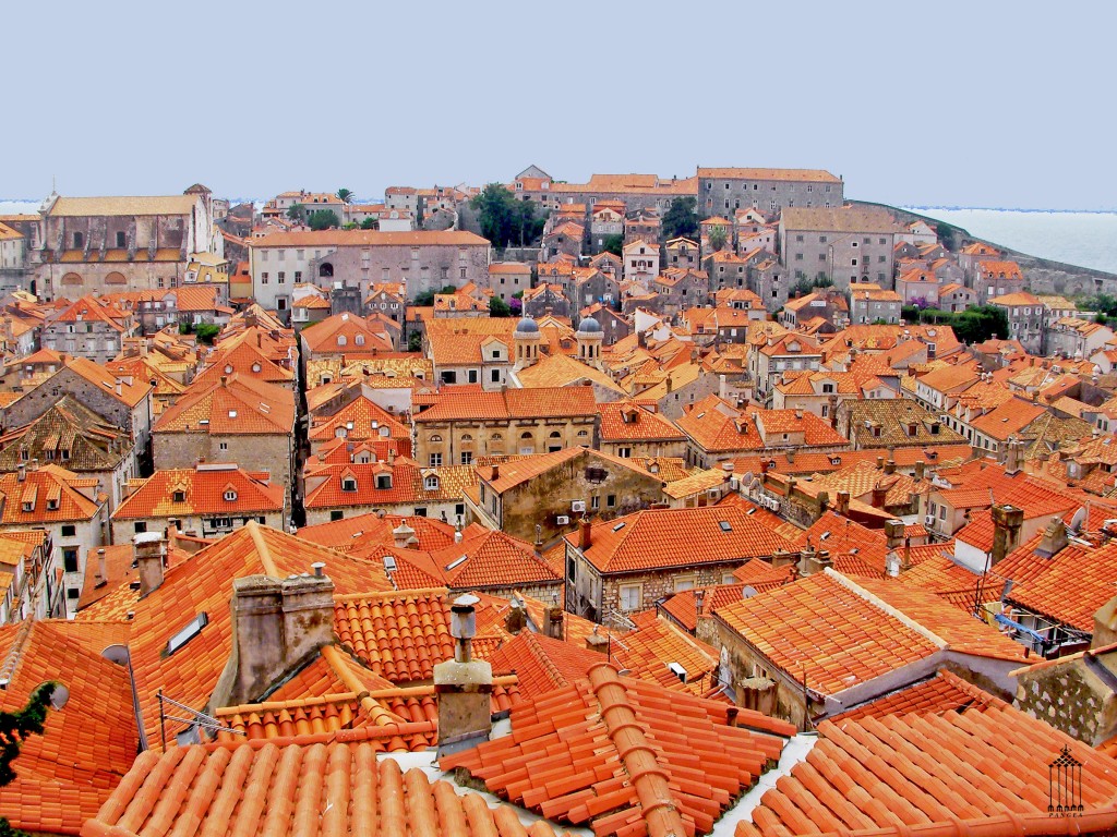 Pangea – extraordinary architecture – architetture straordinarie