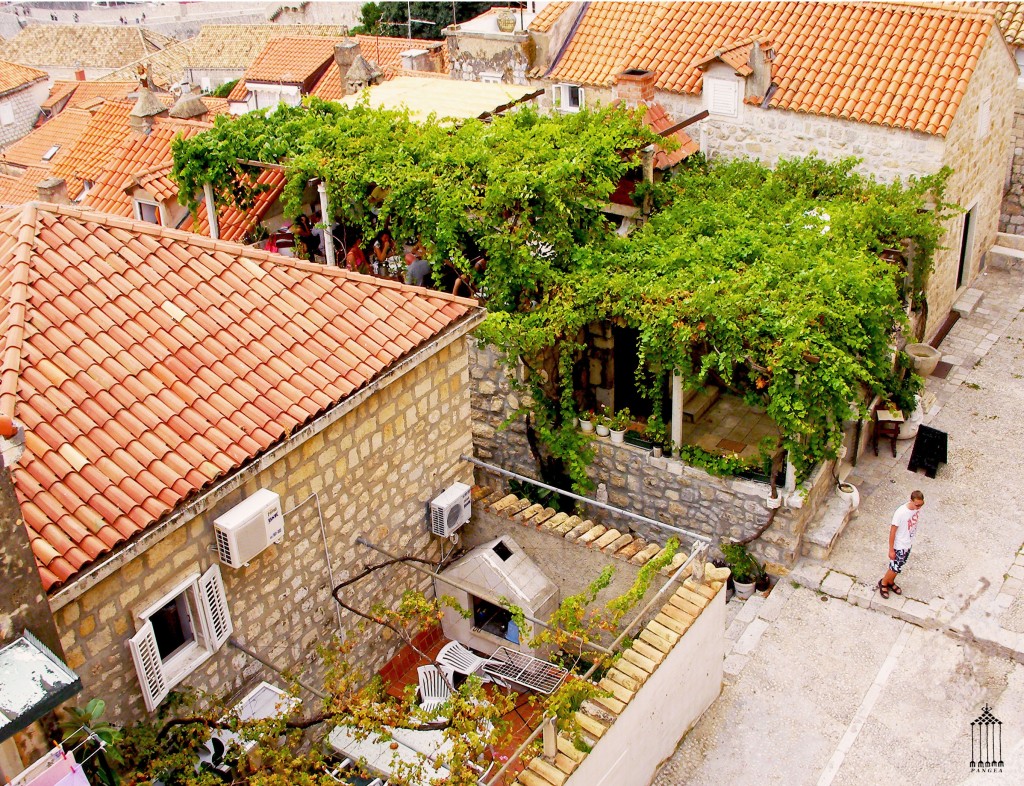 Particolare di giardino pensile di un'abitazione a Dubrovik (Croazia) 