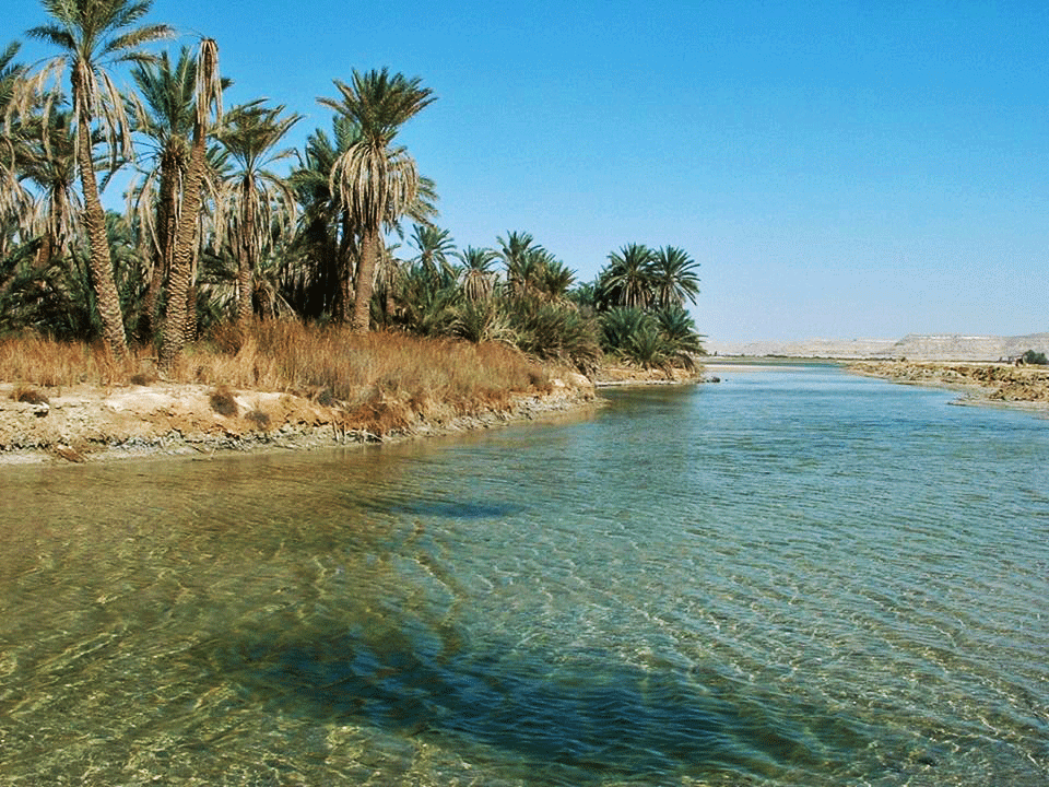 Giardini dell'oasi