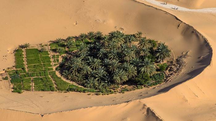 Nell'ambiente contrastante l'uomo crea condizioni favorevoli alla vita, progettando le coltivazioni nelle conche dunari artificiali