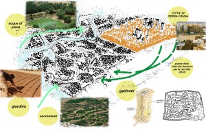 CICLO INTEGRATO DI RIFIUTI ORGANICI - Compost fatto di escrementi, cenere e piante
Produzione e uso di compost vegetale e rifiuti