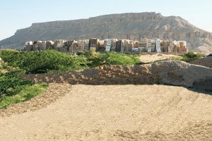 Argini di fango nelle depressioni dei giardini di Shibam