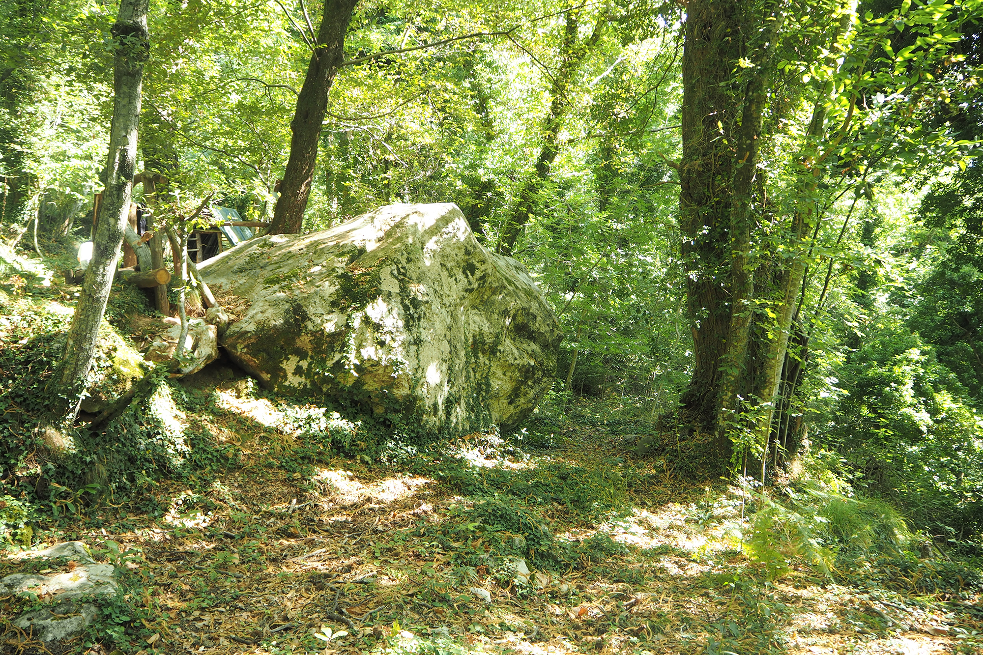 Greppolungo - 