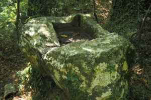 Greppolungo - 