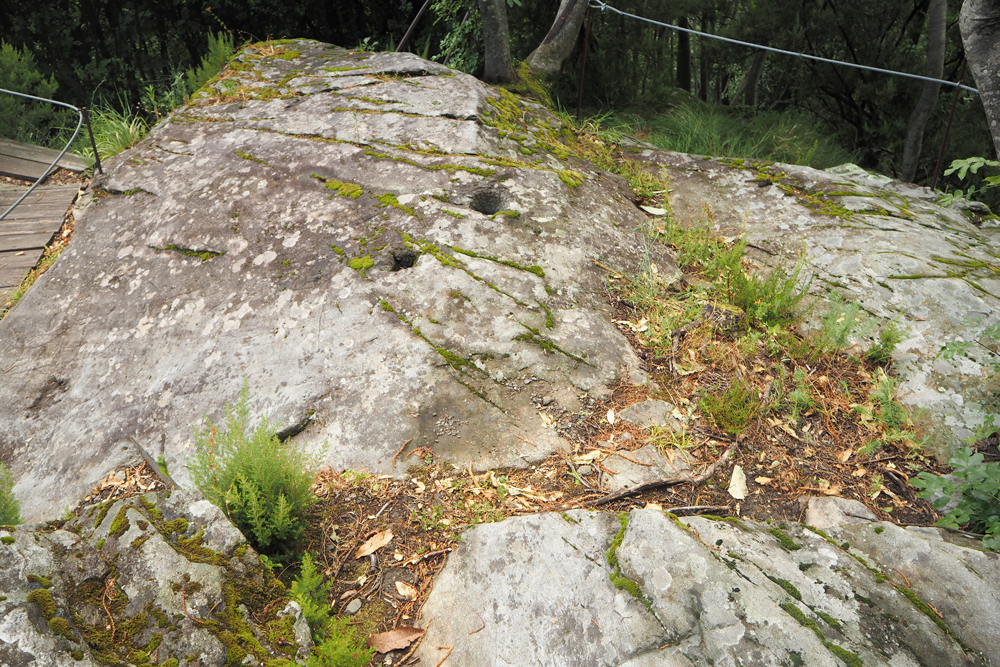 Trogna - Rock with petroglyph
