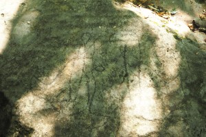 Greppolungo - 