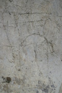 Petroglyph - curved blades ''pennati''