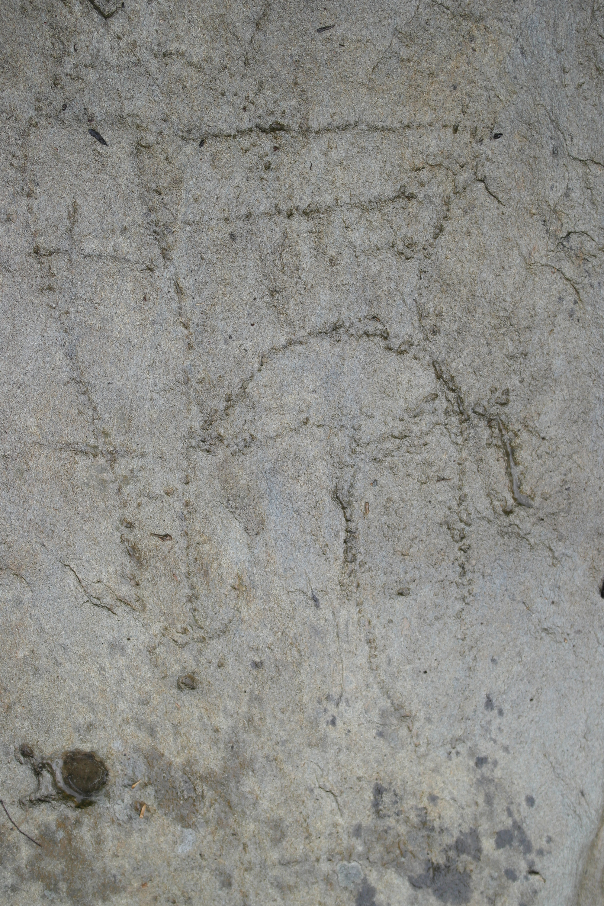 Petroglyph - curved blades ''pennati''