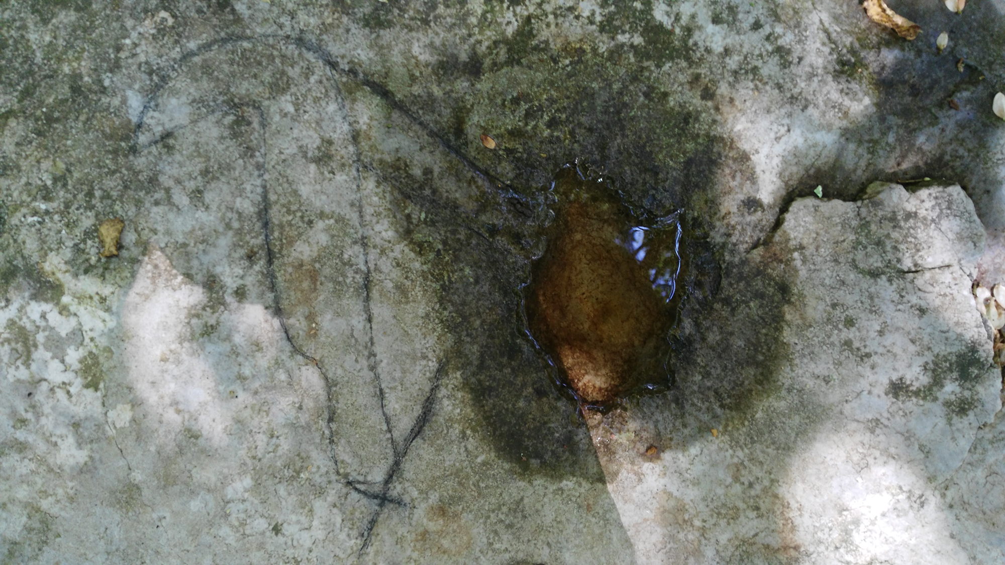 Greppolungo - 