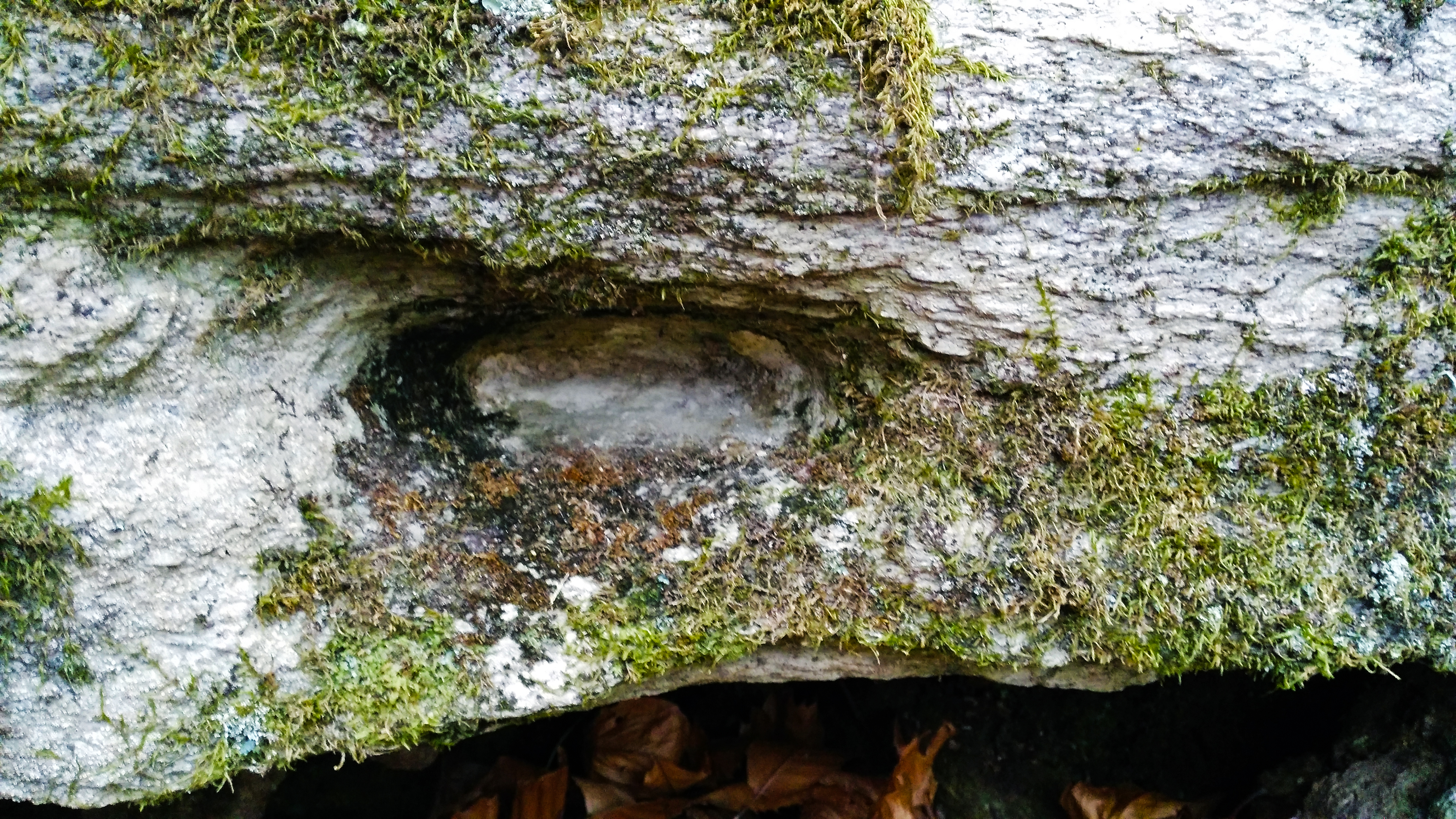 Curiceta ''fireplace'' - Handle particular 