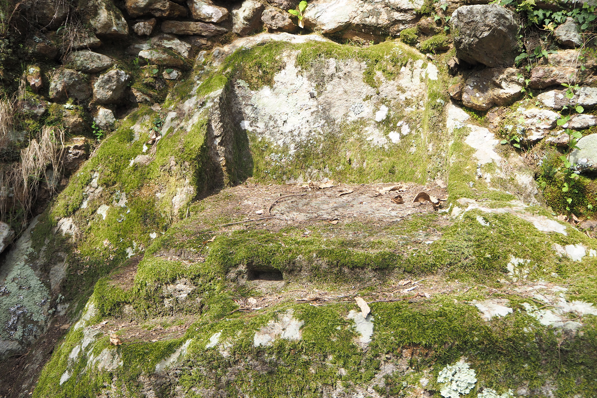 Curiceta - Holy altar particular 