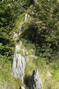 Dolmen - Standing stones of sacred path