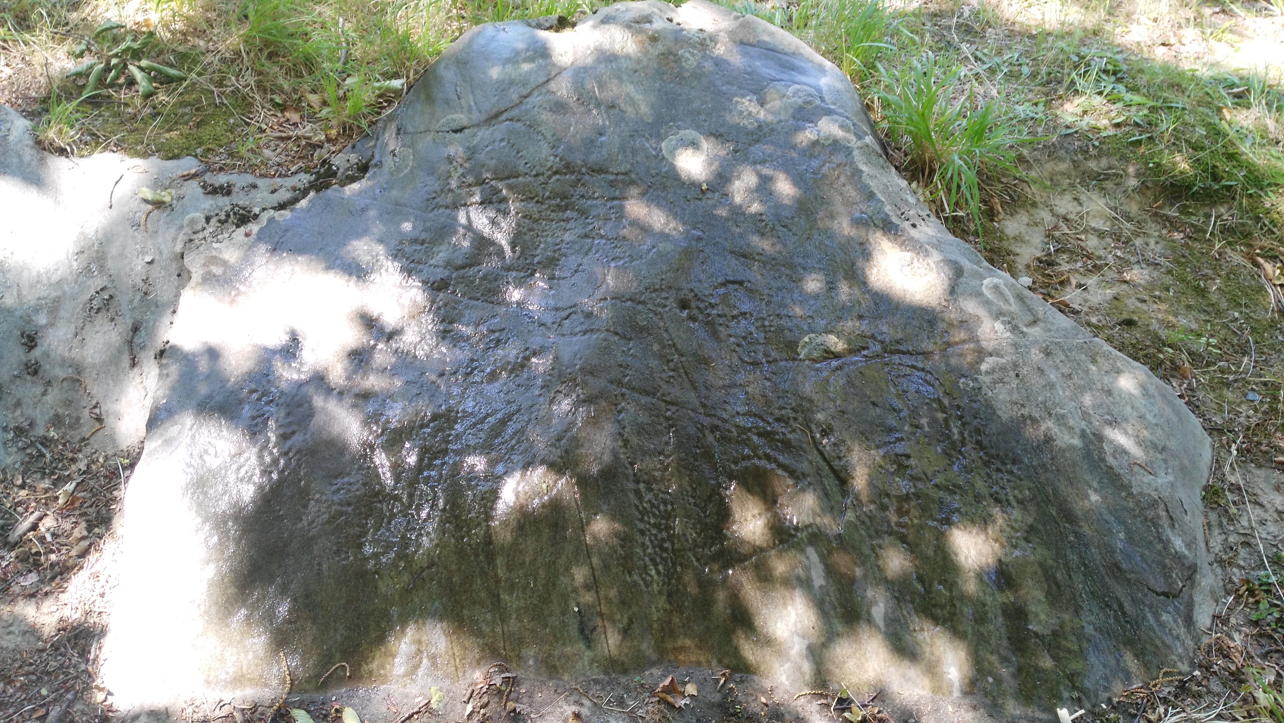 Puntato - Petroglyph on the rock - Crosses ''pennati''