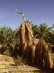 Wadi Saoura - Algeria The long rocker arms placed on tall adobe uprights, here called khottara and very similar to the ancient Egyptian and Arabian shaduf, enable water to be drawn from the wells dug out of the wadi's sediments