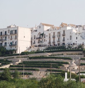 Locorotondo (Apulia) The terraces under the town