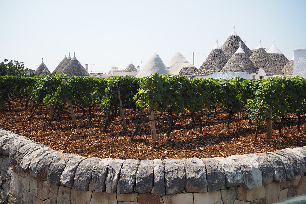 Martinafranca (Apulia)