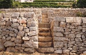 Locorotondo (Apulia) Detail of stone terraces cultivated with vines