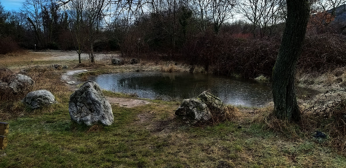 Una piccola dolina a Basovizza (TS) si è trasformata in un laghetto